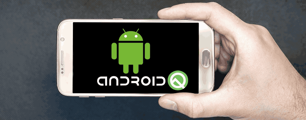 Android Q Guide
