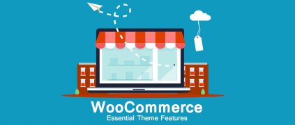 WooCommerce Theme Features