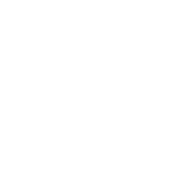 CRM System Development